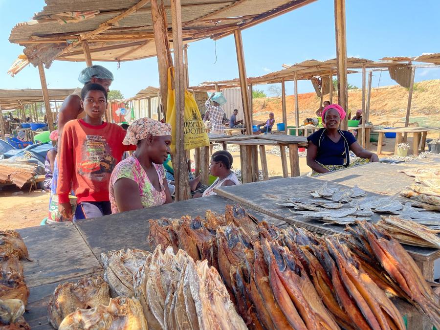 Photo 10 of Angola, taken by Cameron Mofid