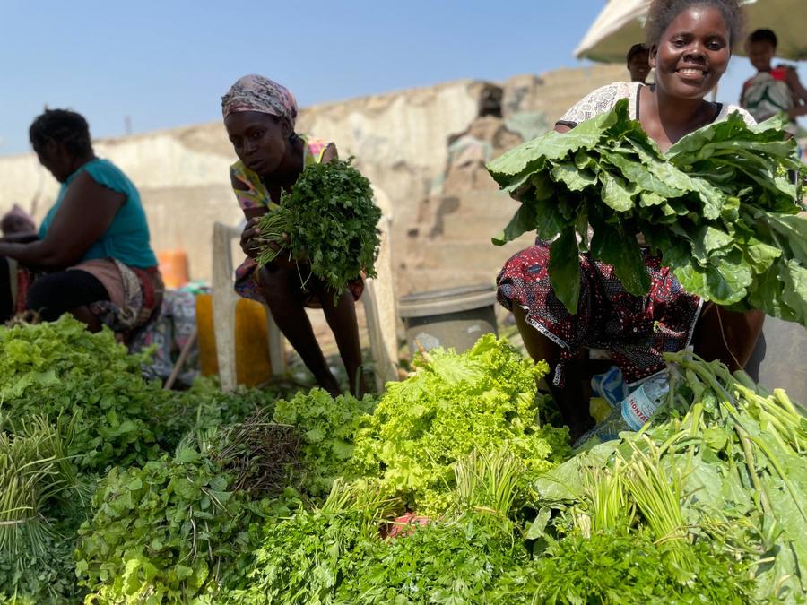 Photo 15 of Angola, taken by Cameron Mofid