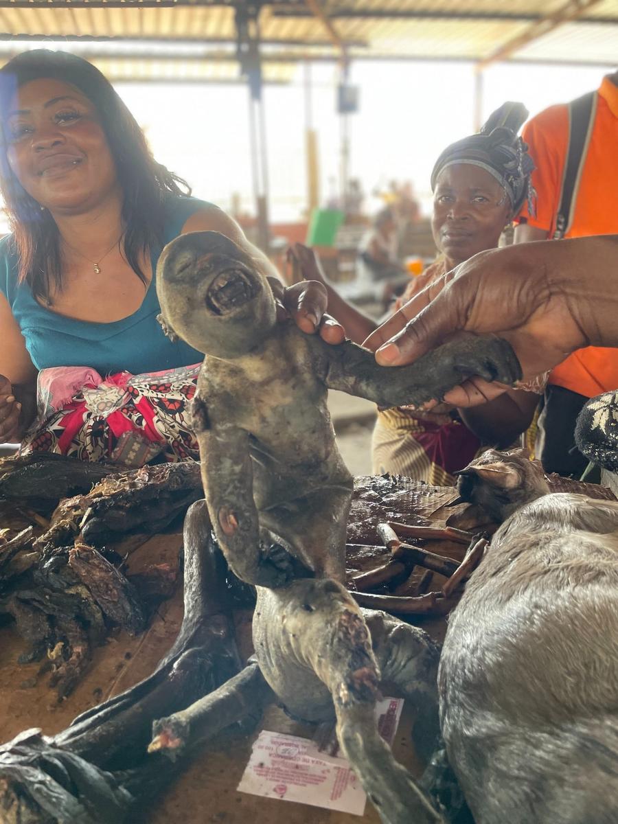 Photo 17 of Angola, taken by Cameron Mofid