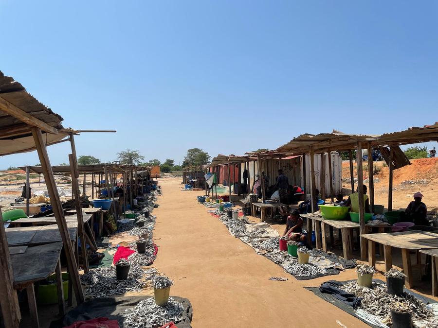 Photo 11 of Angola, taken by Cameron Mofid