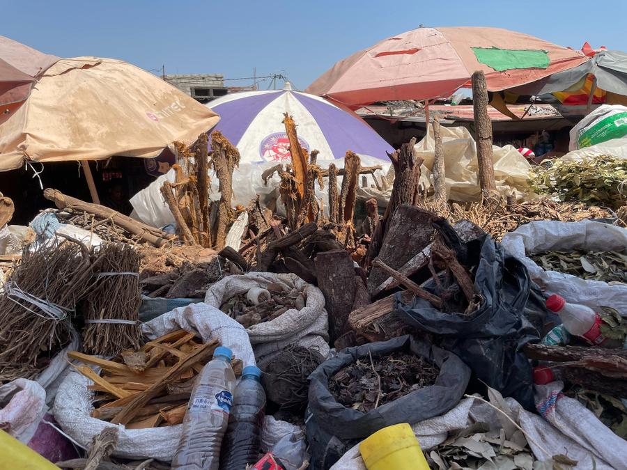 Photo 20 of Angola, taken by Cameron Mofid