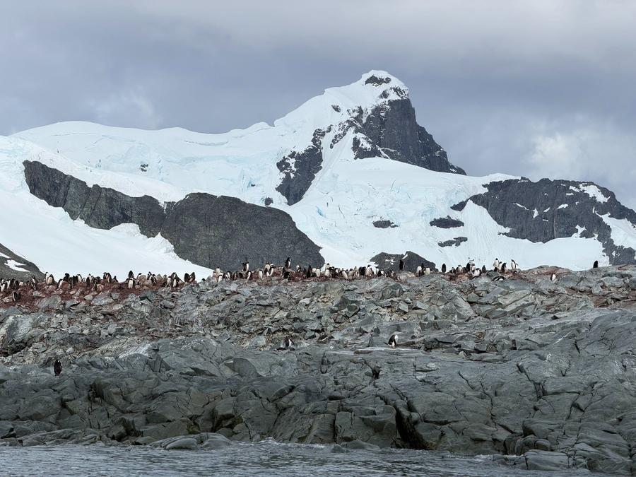 Photo 3 of Antarctica, taken by Cameron Mofid