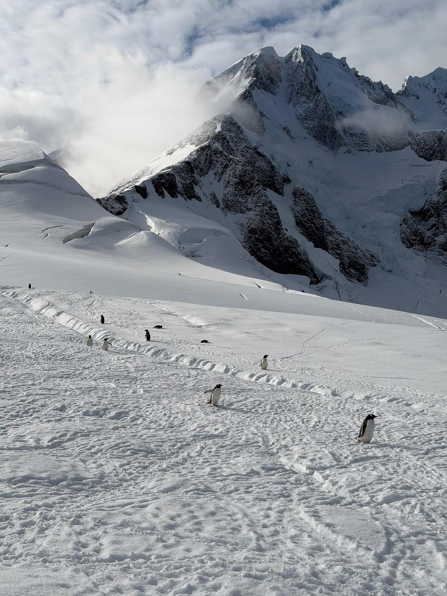 Photo 7 of Antarctica, taken by Cameron Mofid