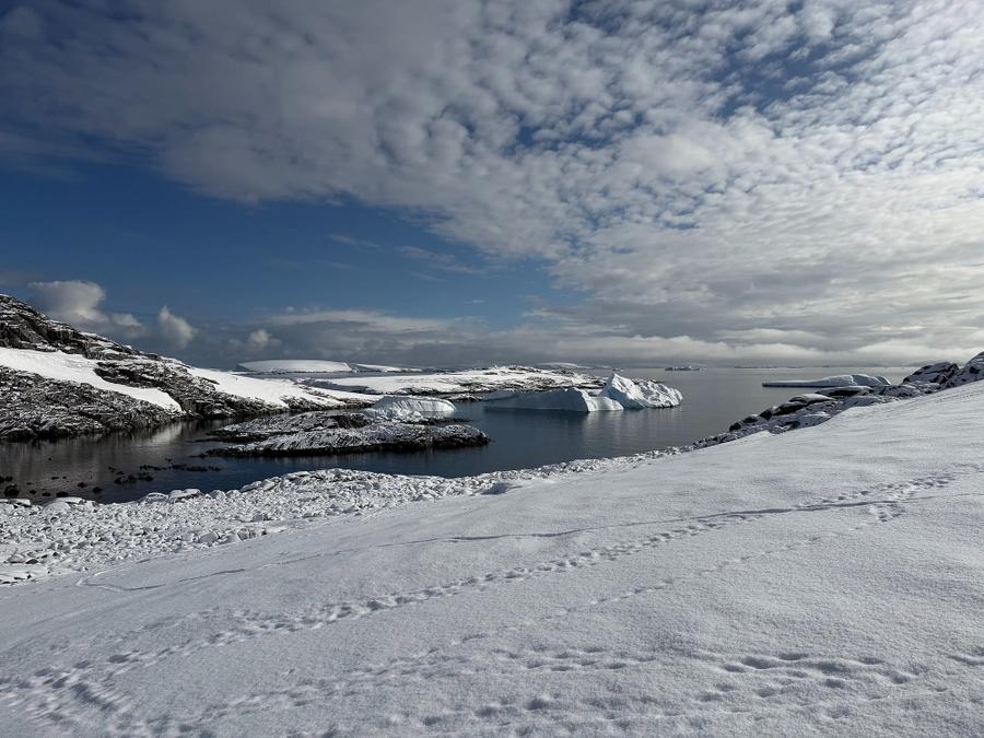 Photo 6 of Antarctica, taken by Cameron Mofid