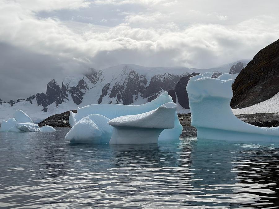 Photo 4 of Antarctica, taken by Cameron Mofid