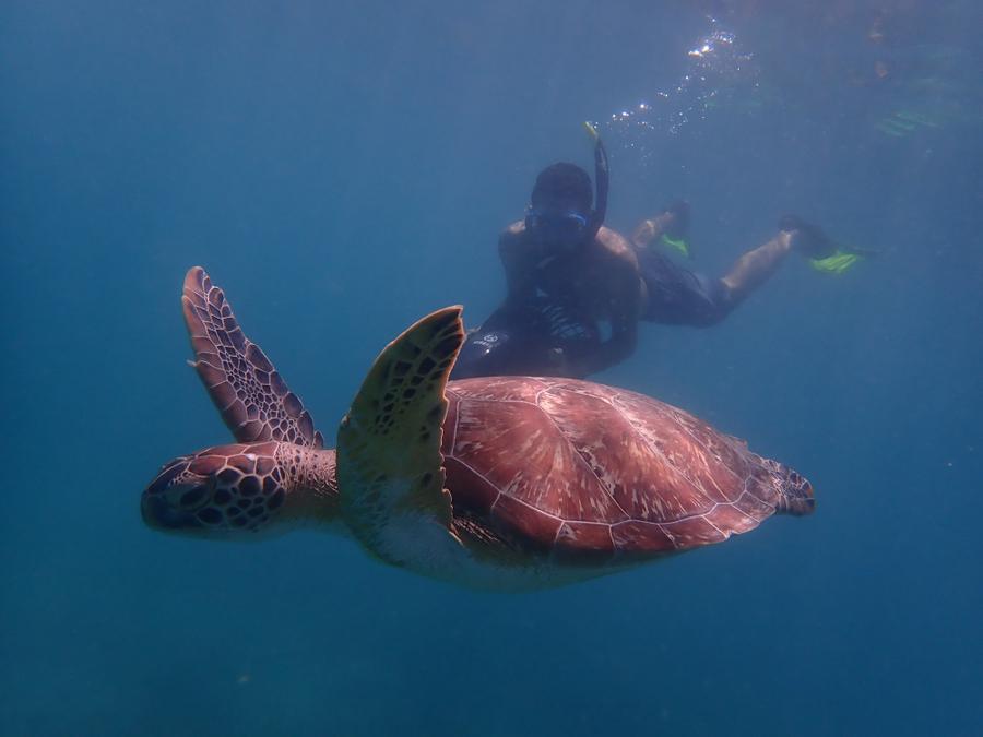 Photo 14 of Antigua and Barbuda, taken by Cameron Mofid