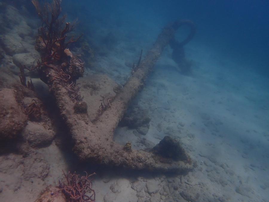 Photo 20 of Antigua and Barbuda, taken by Cameron Mofid
