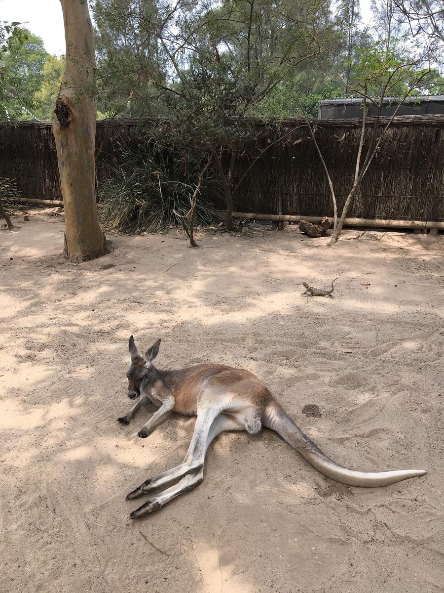 Photo 19 of Australia, taken by Cameron Mofid