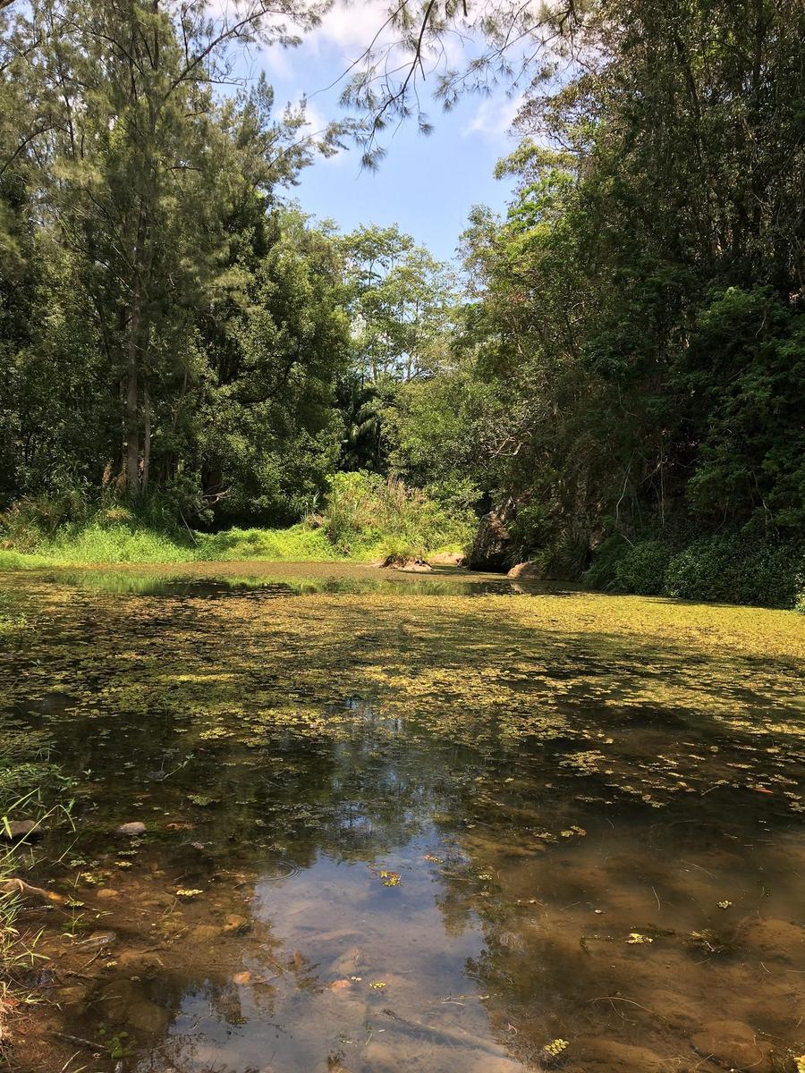 Photo 13 of Australia, taken by Cameron Mofid