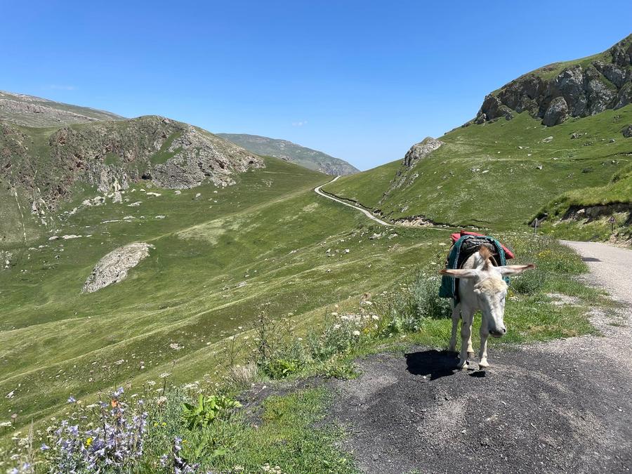 Photo 11 of Azerbaijan, taken by Cameron Mofid