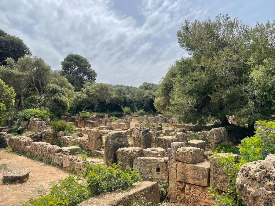 Photo 18 of Algeria, taken by Cameron Mofid