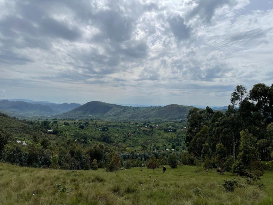 Photo 3 of Burundi, taken by Cameron Mofid