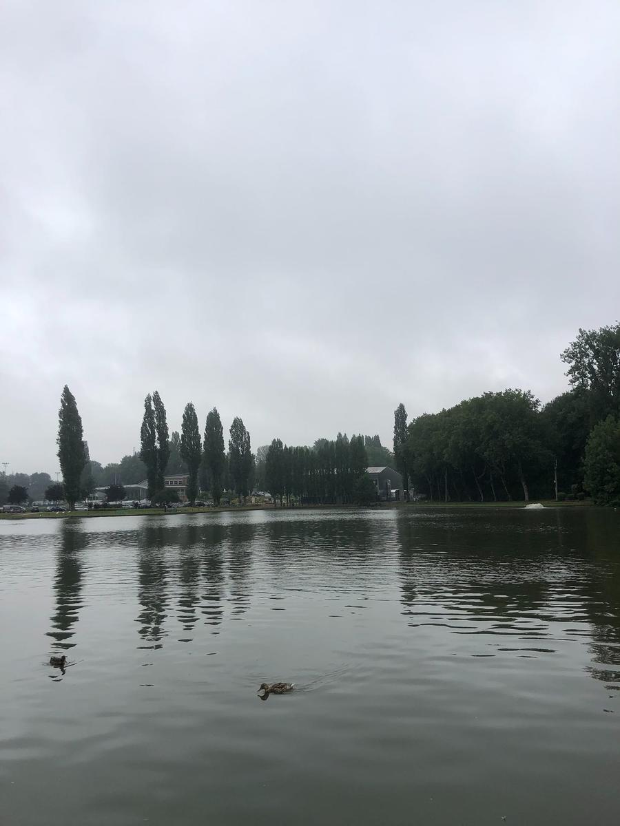 Photo 1 of Belgium, taken by Cameron Mofid