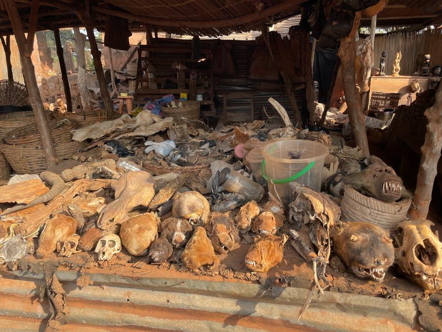 Photo 10 of Benin, taken by Cameron Mofid