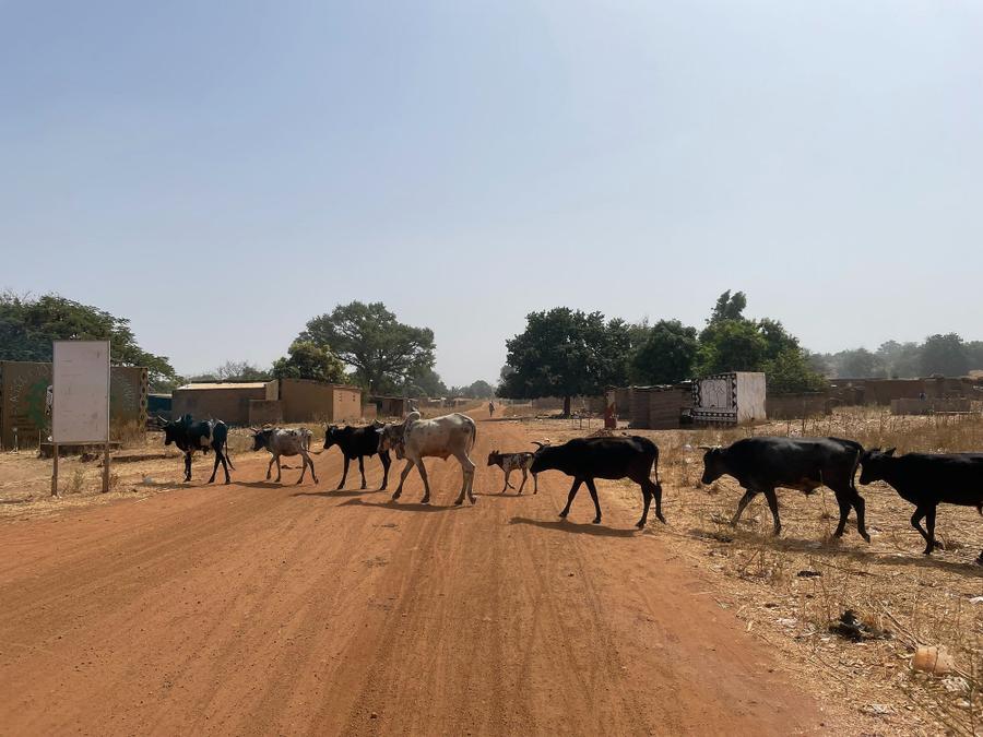 Photo 2 of Burkina Faso, taken by Cameron Mofid