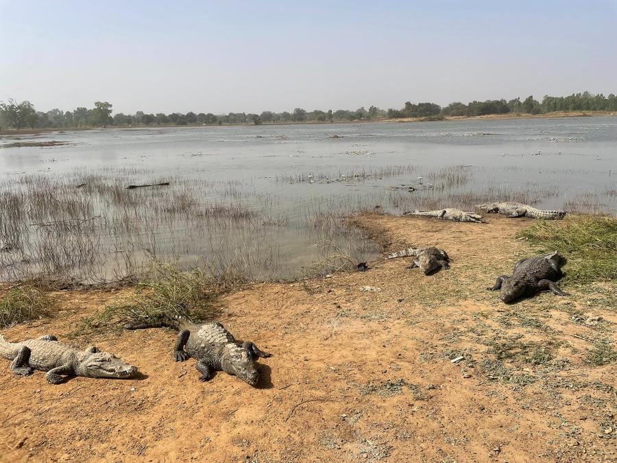 Photo 12 of Burkina Faso, taken by Cameron Mofid