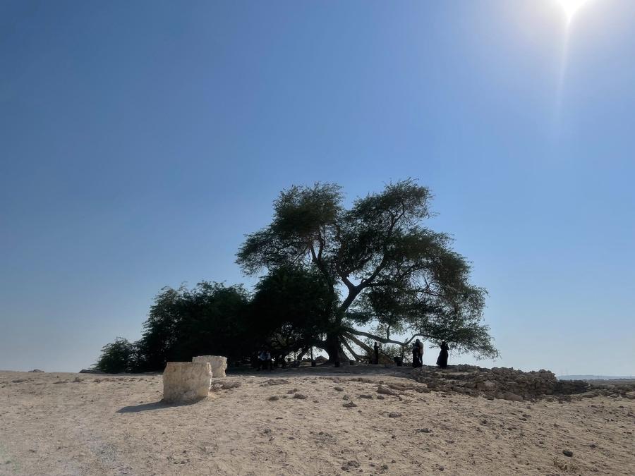 Photo 12 of Bahrain, taken by Cameron Mofid