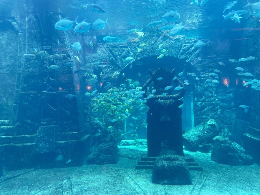 Photo 3 of Bahamas, taken by Cameron Mofid