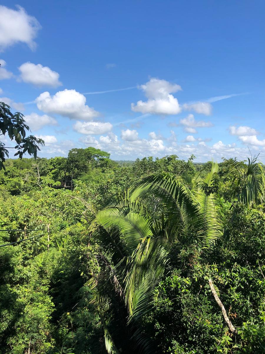 Photo 6 of Belize, taken by Cameron Mofid