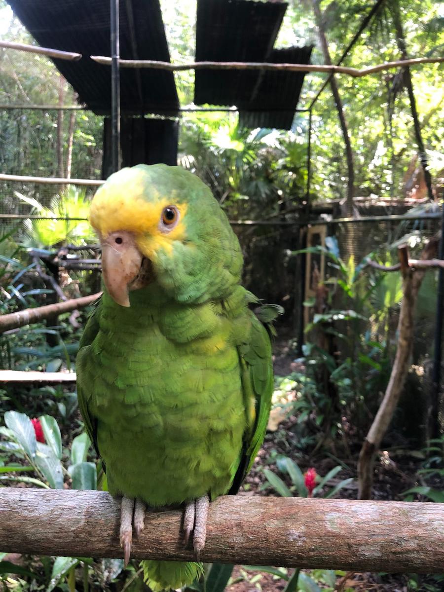 Photo 8 of Belize, taken by Cameron Mofid