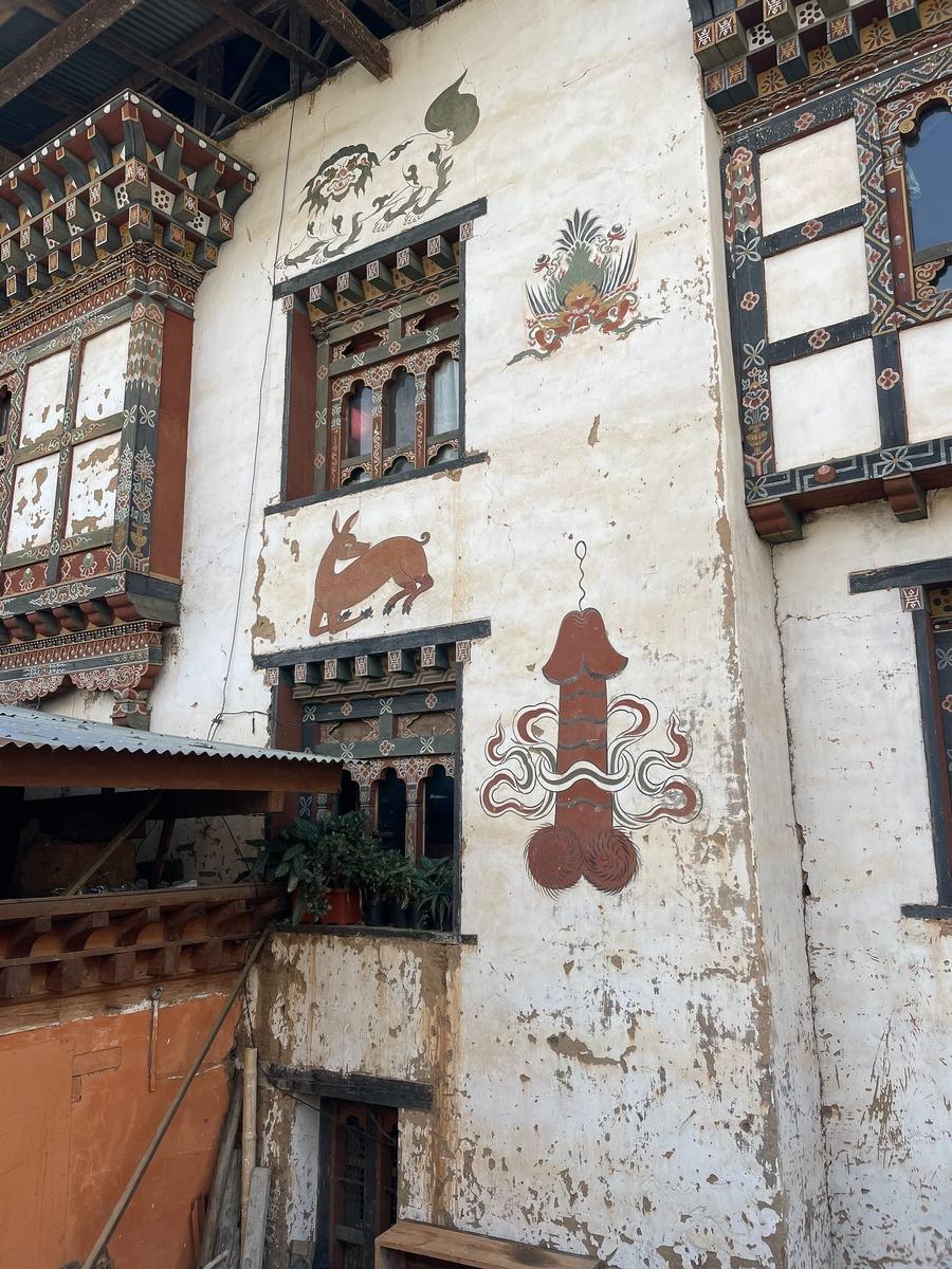 Photo 8 of Bhutan, taken by Cameron Mofid