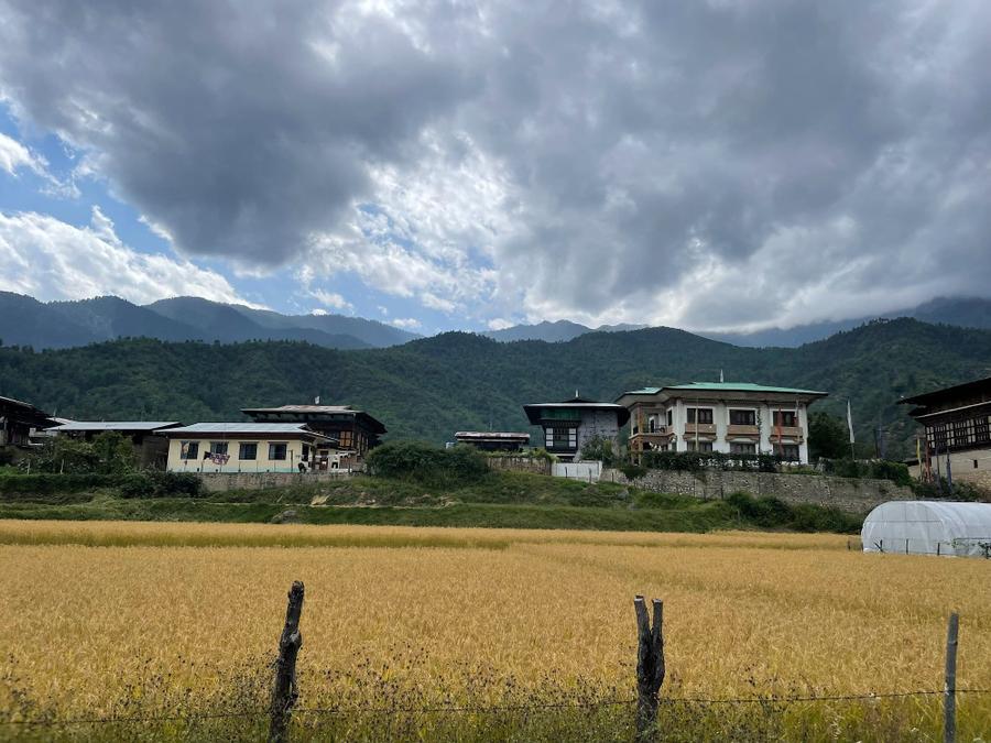 Photo 1 of Bhutan, taken by Cameron Mofid