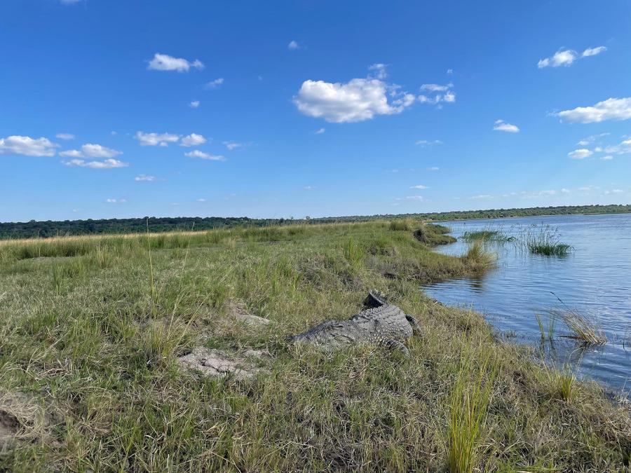 Photo 14 of Botswana, taken by Cameron Mofid