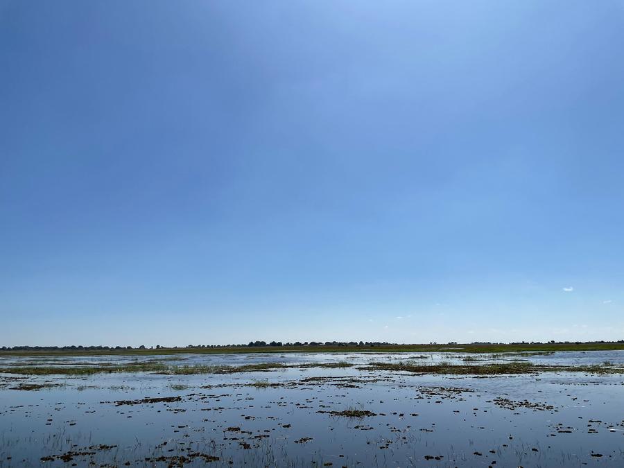 Photo 12 of Botswana, taken by Cameron Mofid