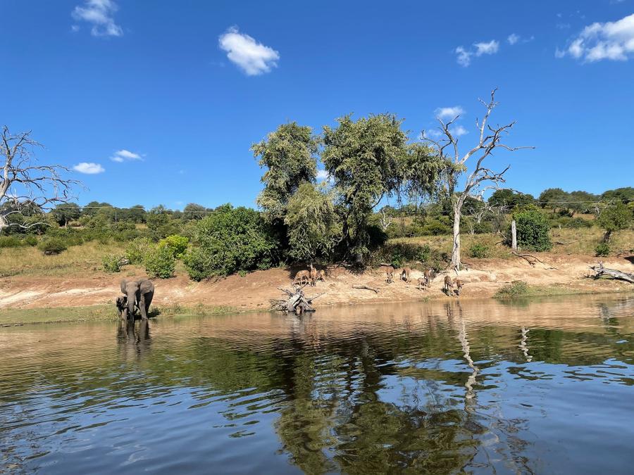 Photo 13 of Botswana, taken by Cameron Mofid