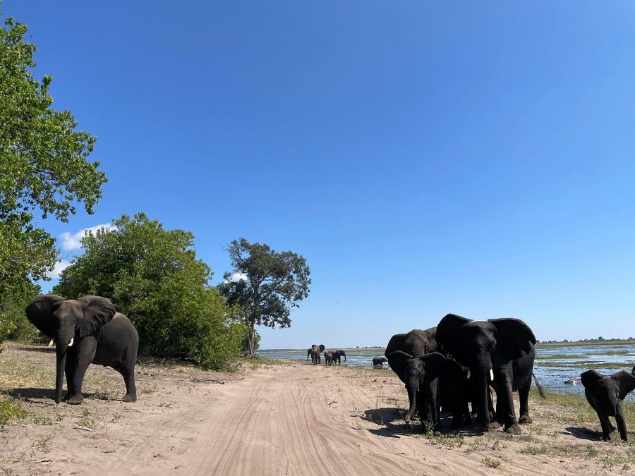 Photo 10 of Botswana, taken by Cameron Mofid