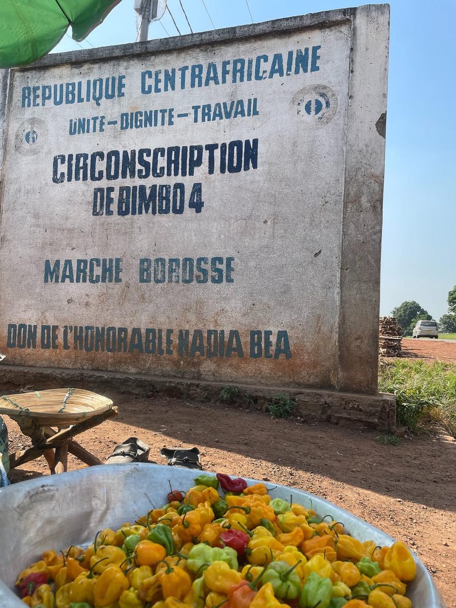 Photo 14 of Central African Republic, taken by Cameron Mofid