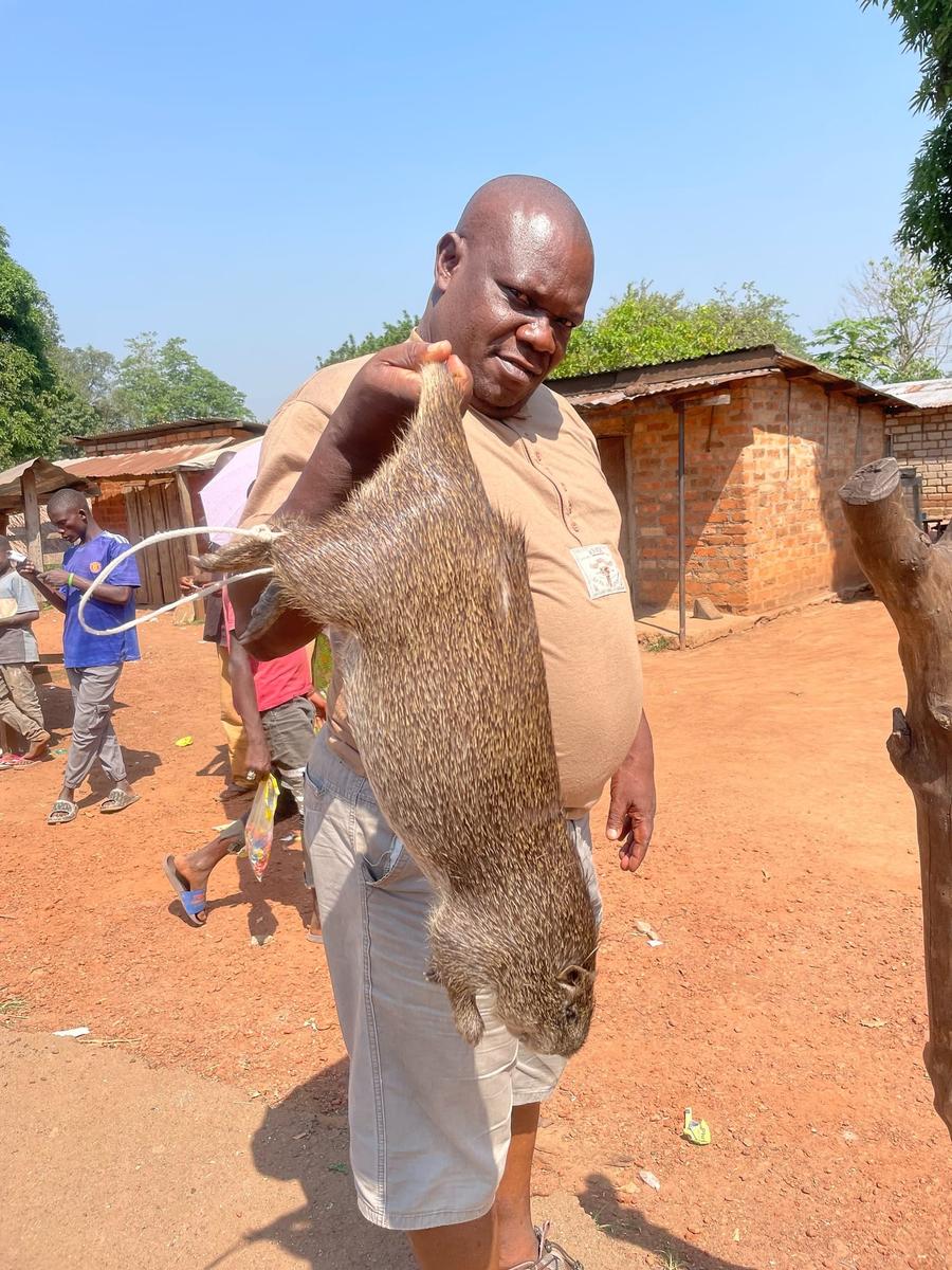Photo 2 of Central African Republic, taken by Cameron Mofid