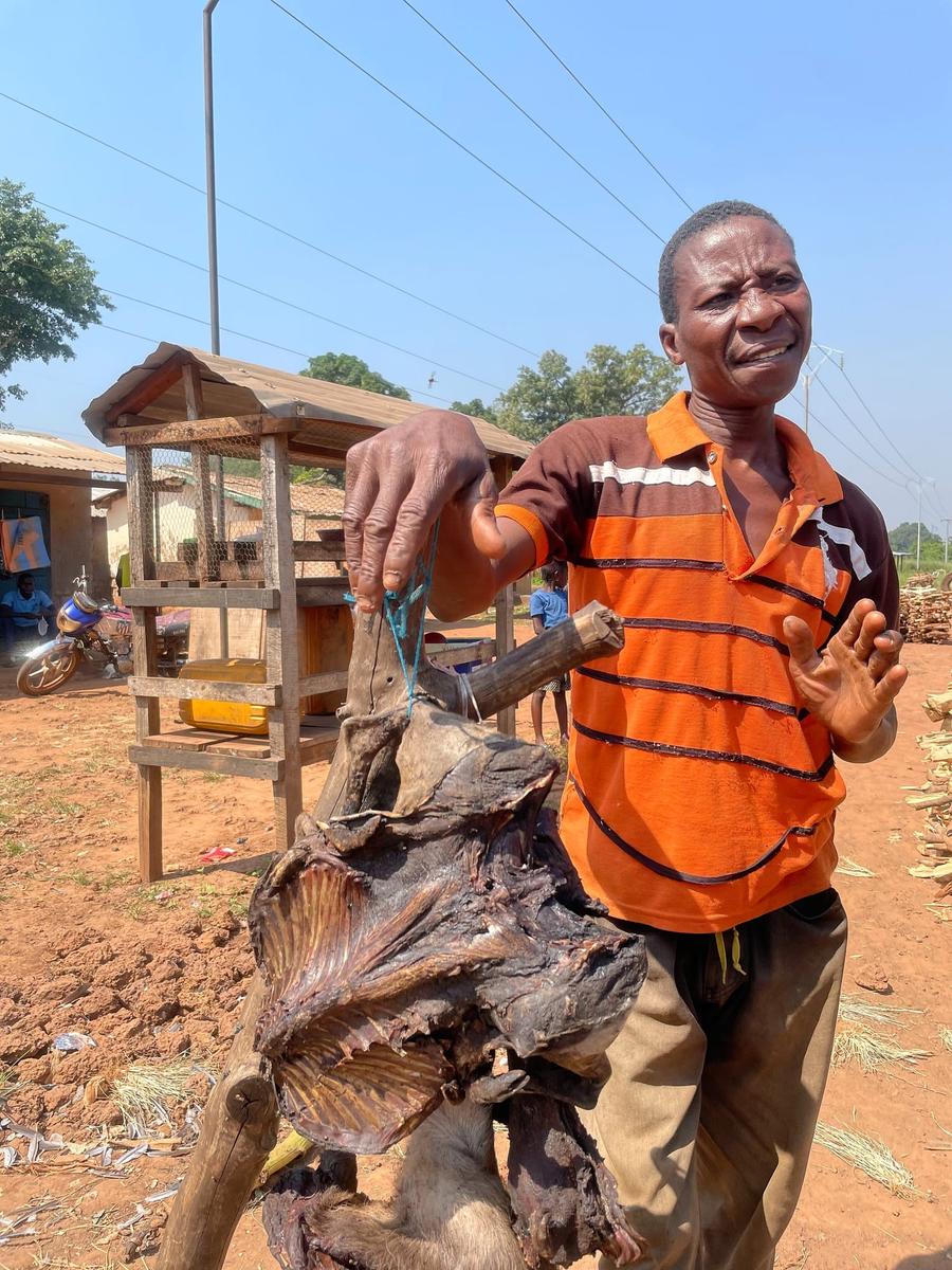 Photo 3 of Central African Republic, taken by Cameron Mofid