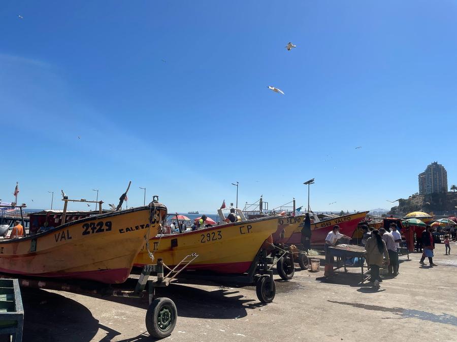 Photo 17 of Chile, taken by Cameron Mofid
