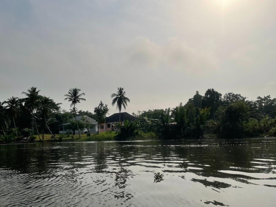 Photo 3 of Cameroon, taken by Cameron Mofid