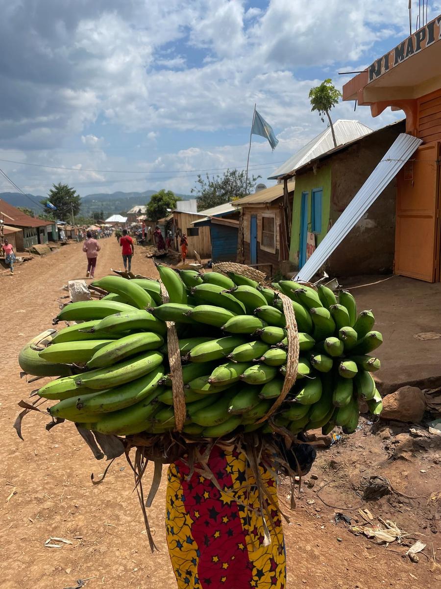 Photo 8 of Democratic Republic of the Congo, taken by Cameron Mofid
