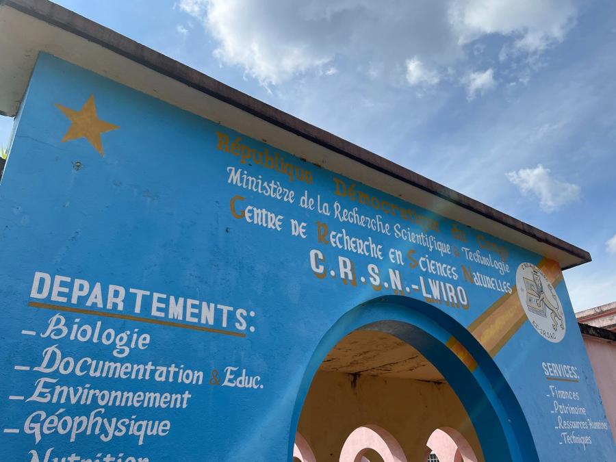 Photo 20 of Democratic Republic of the Congo, taken by Cameron Mofid