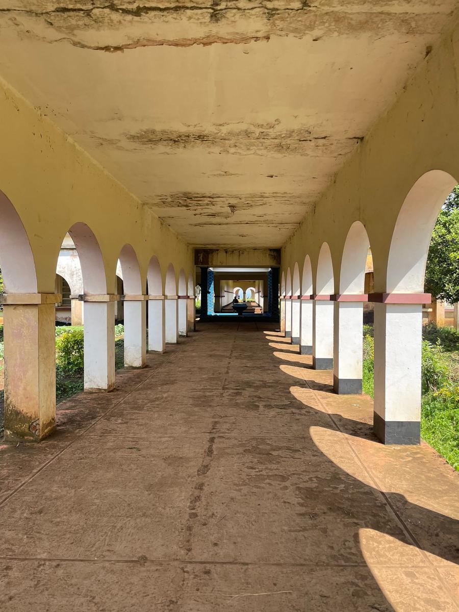 Photo 14 of Democratic Republic of the Congo, taken by Cameron Mofid
