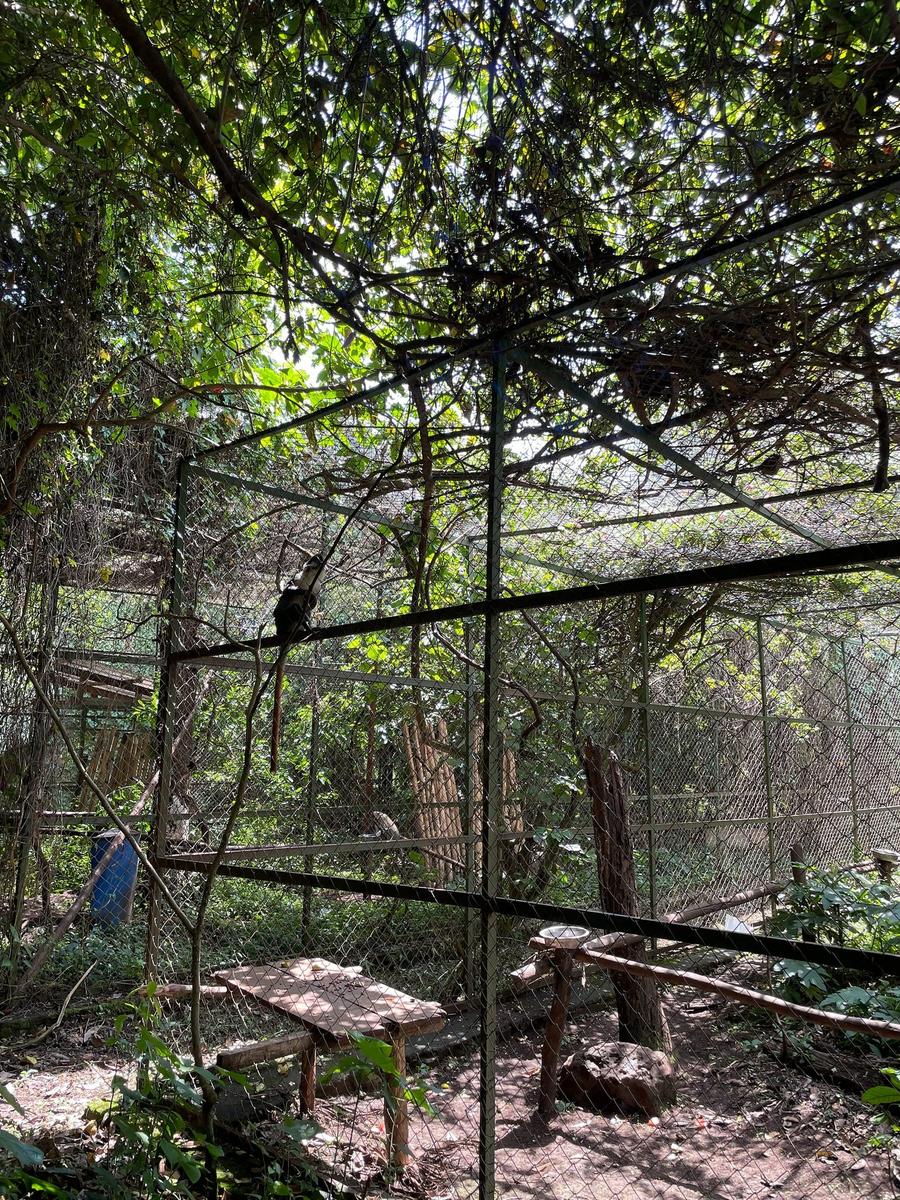 Photo 12 of Democratic Republic of the Congo, taken by Cameron Mofid