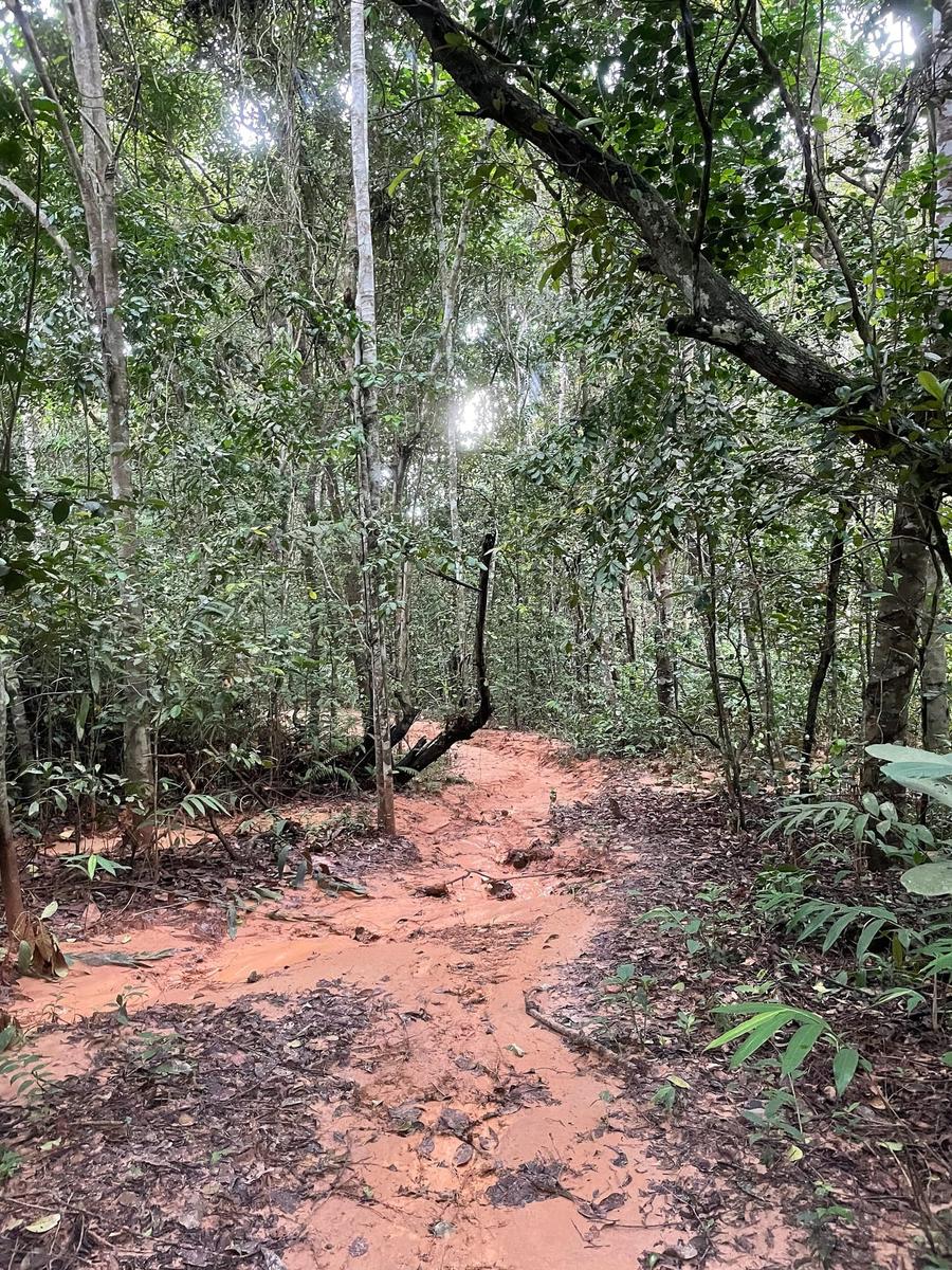 Photo 19 of Congo, taken by Cameron Mofid