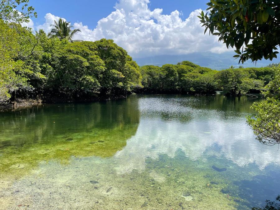 Photo 16 of Comoros, taken by Cameron Mofid