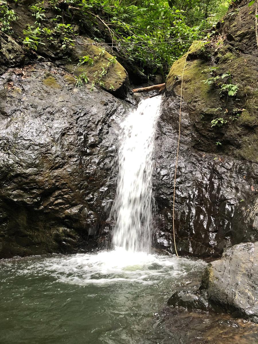 Photo 9 of Costa Rica, taken by Cameron Mofid