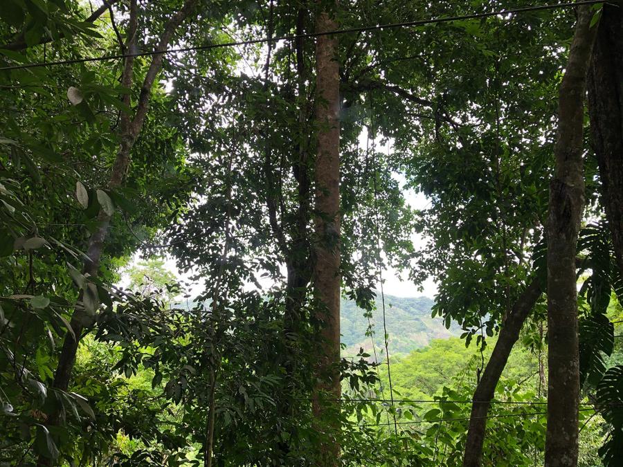Photo 6 of Costa Rica, taken by Cameron Mofid