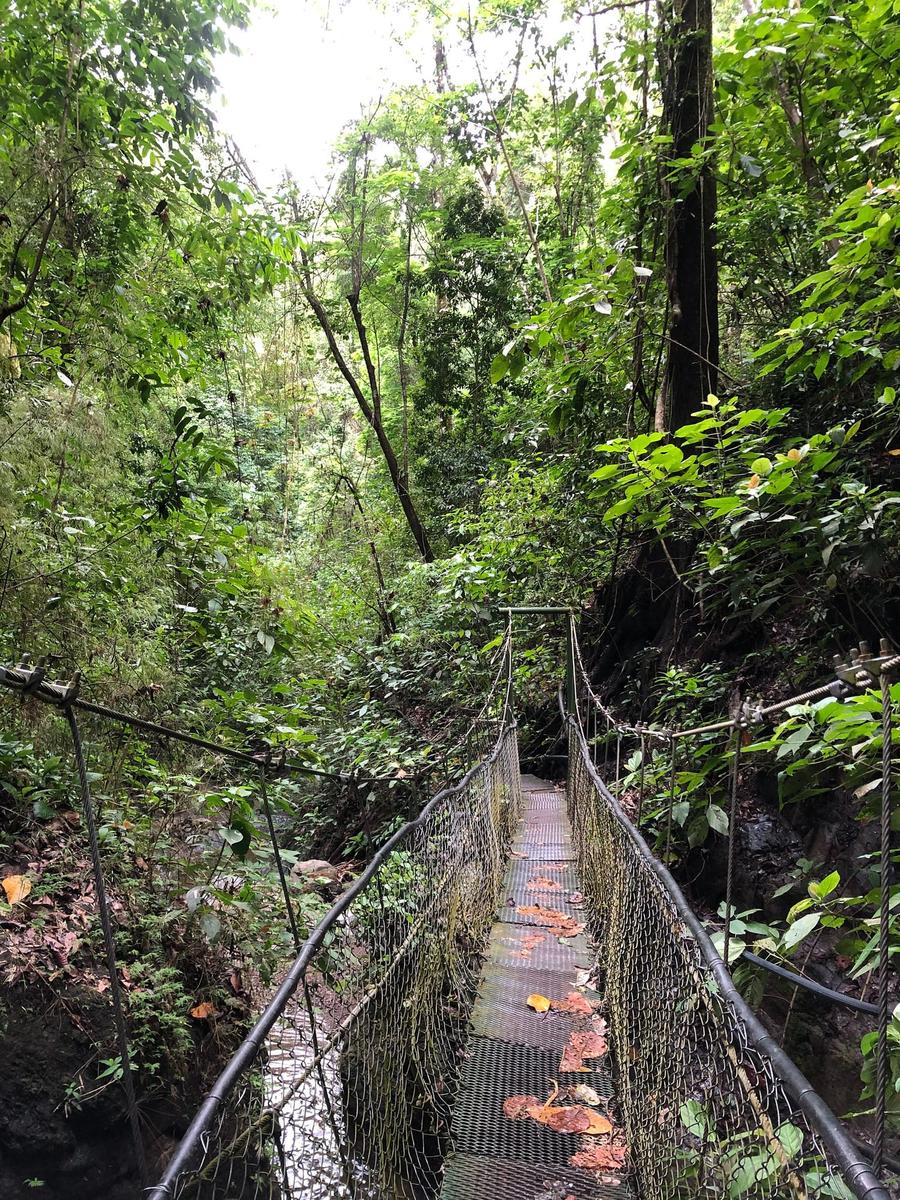 Photo 10 of Costa Rica, taken by Cameron Mofid