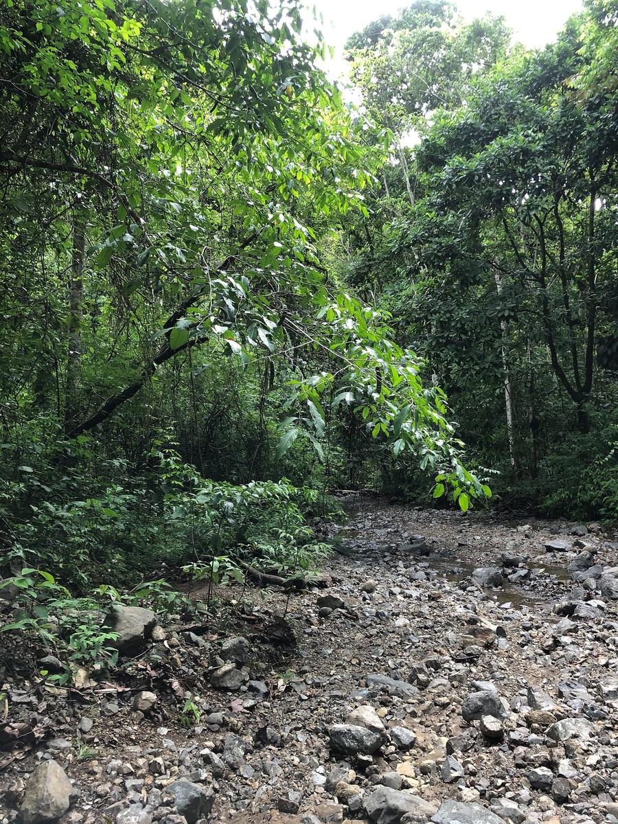 Photo 8 of Costa Rica, taken by Cameron Mofid