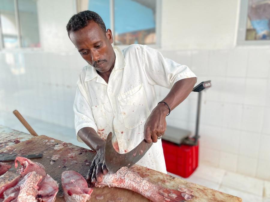 Photo 19 of Djibouti, taken by Cameron Mofid