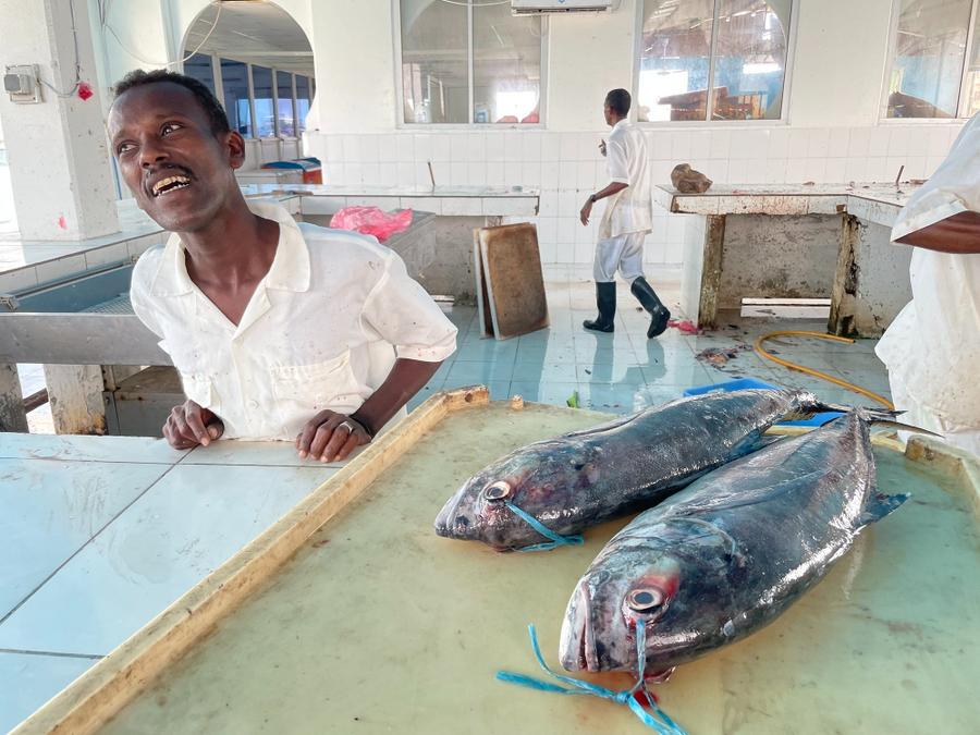 Photo 18 of Djibouti, taken by Cameron Mofid