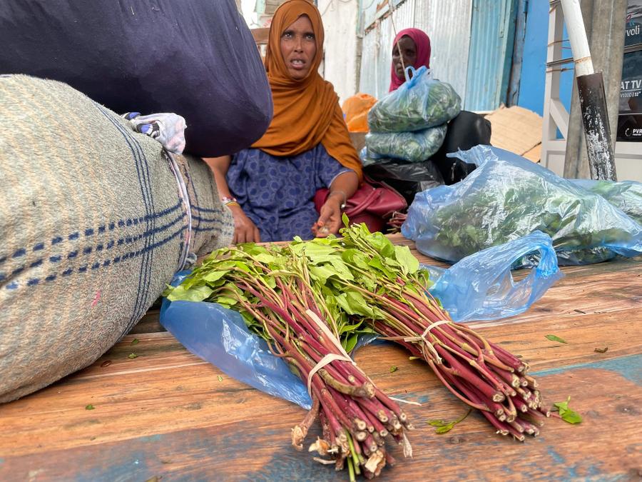 Photo 16 of Djibouti, taken by Cameron Mofid