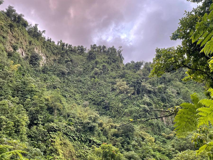 Photo 4 of Dominica, taken by Cameron Mofid
