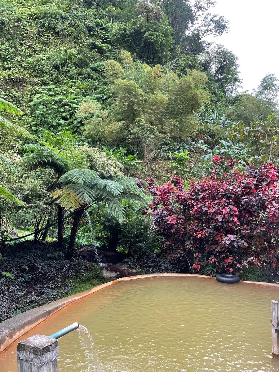 Photo 14 of Dominica, taken by Cameron Mofid